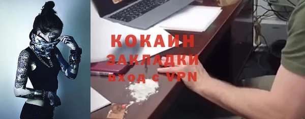 прущая мука Каменка