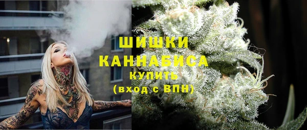 прущая мука Каменка